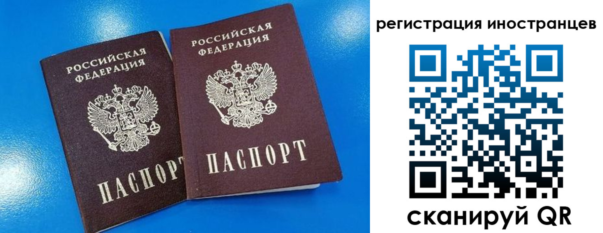 временная регистрация поиск в Чите