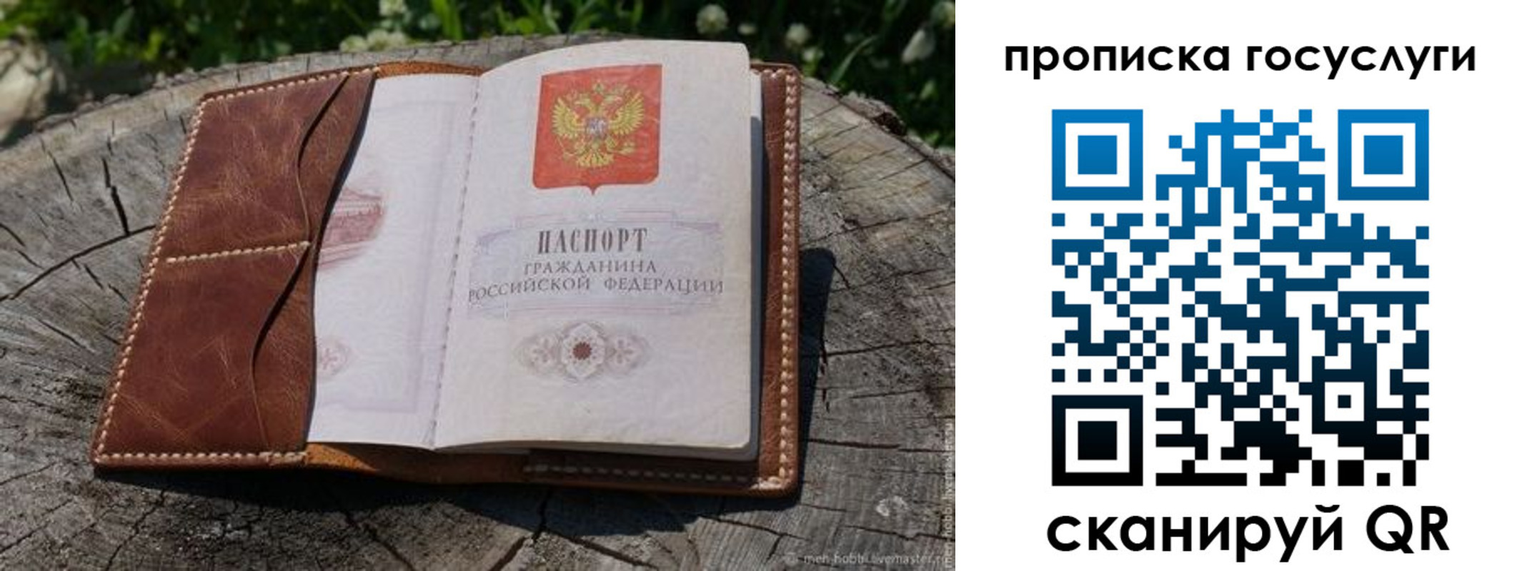 прописка для школы в Чите